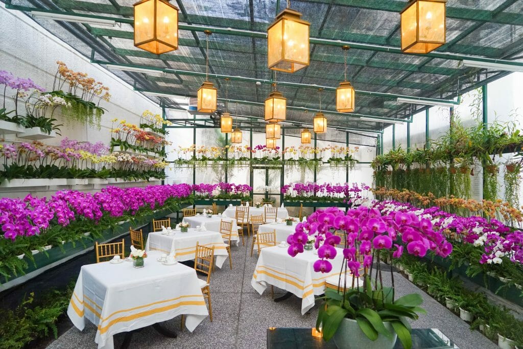 Dining in Gay Kuala Lumpur: High Tea at the Majestic Hotel Orchid Conservatory