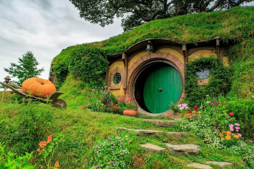 Waitomo Caves and Hobbiton Tour