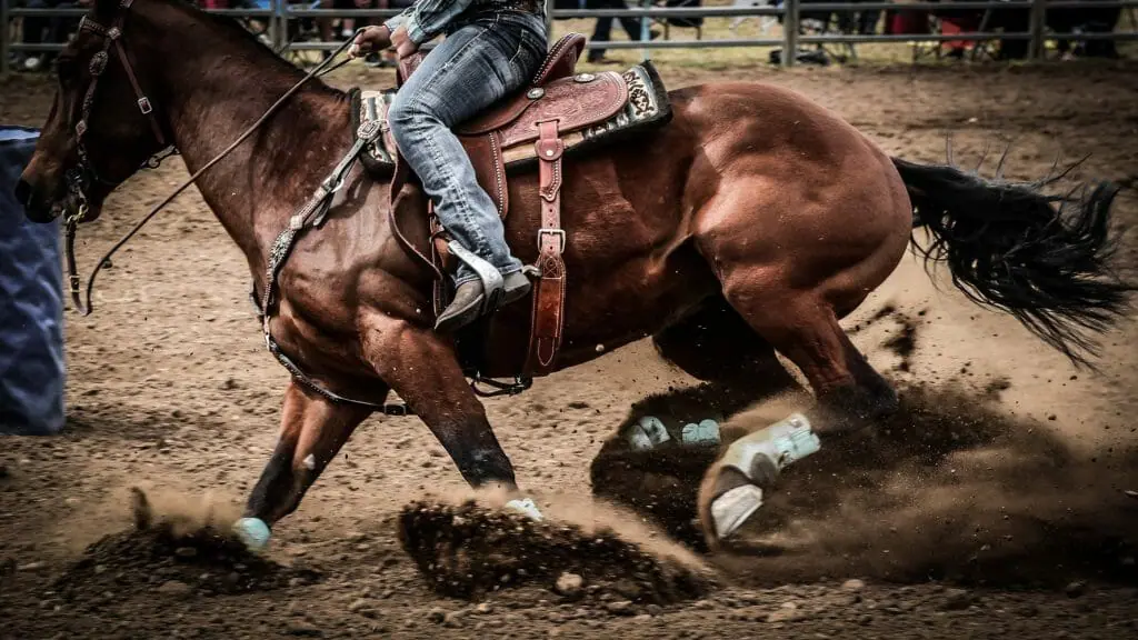 Gay Rodeo Denver | gay life in denver