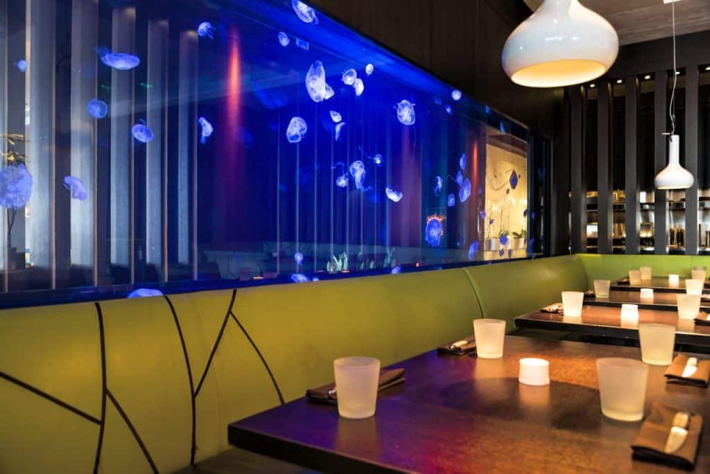 Whisky Bar W Fort Lauderdale | w fort lauderdale | the w fort lauderdale | w ft lauderdale | the w hotel fort lauderdale beach