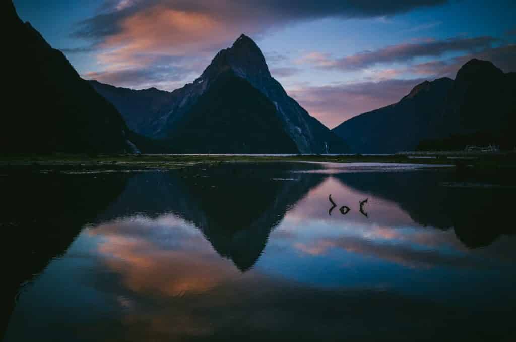 Milford Sound Tour | new zealand gay life | gay bar queenstown