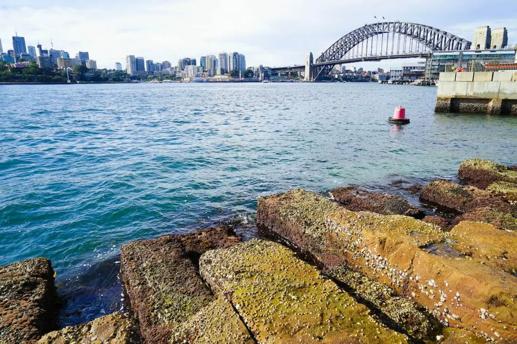 What You Should Have Asked Your Teachers About Australia travel guide