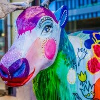 Gay Rovaniemi Guide: The Essential Guide To Gay Travel In Rovaniemi Finland 2018