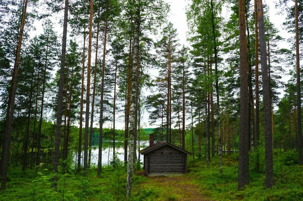 LGBT Rights in Finland: What Travellers Should Know Before Going 🇫🇮