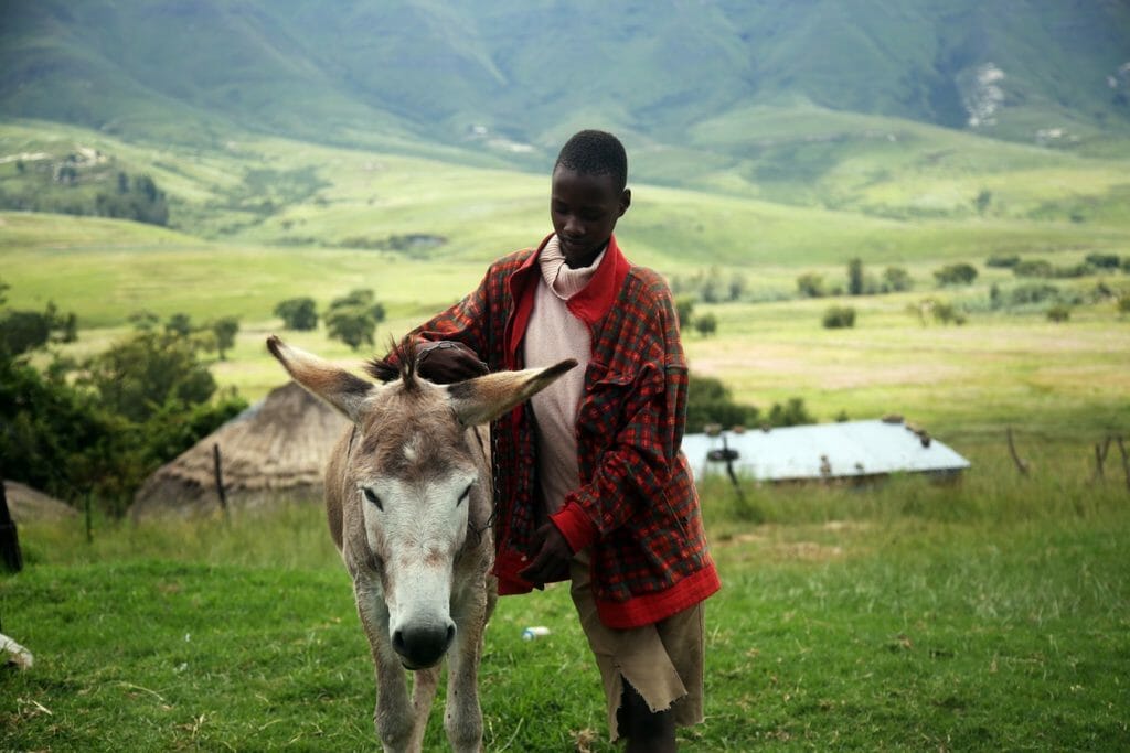 Lesotho