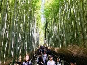 Gay Kyoto, Japan | The Essential LGBT Travel Guide!