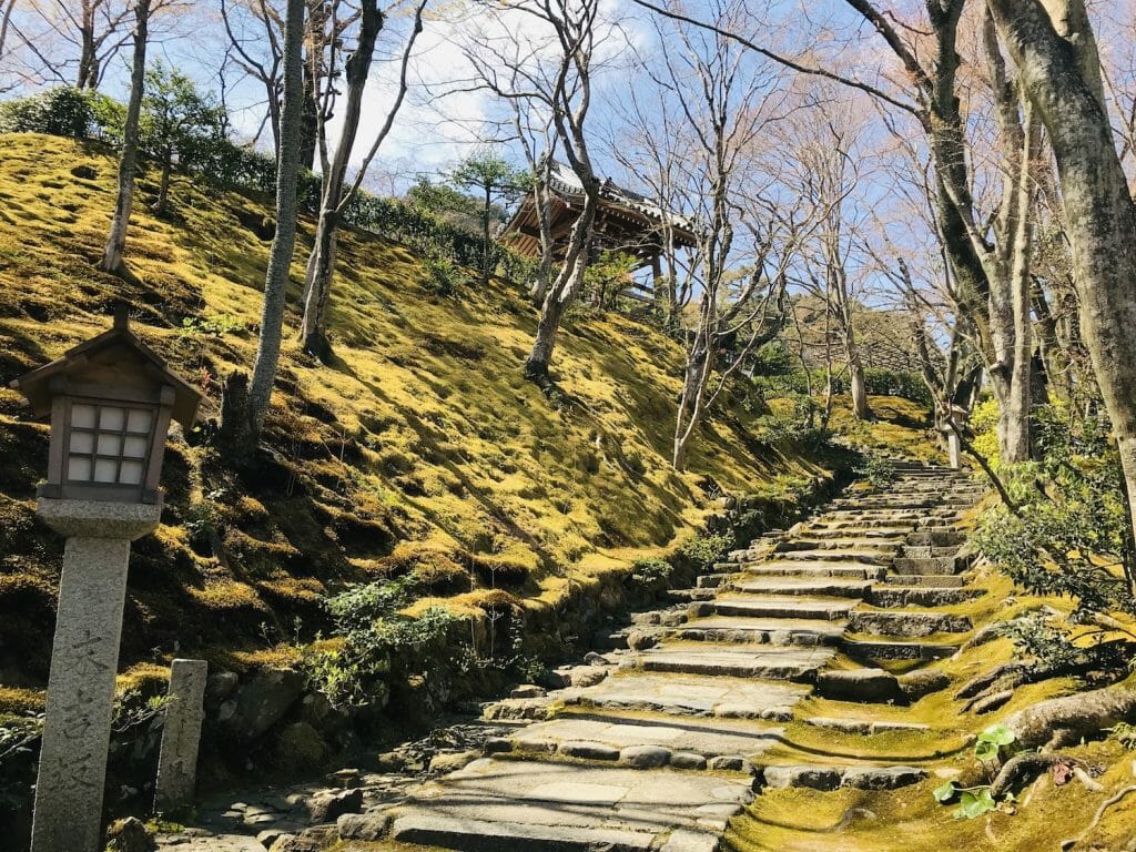 ** gay in kyoto ** sauna gay kyoto ** gay cruising kyoto ** gay kyoto map ** gay bar kyoto japan **