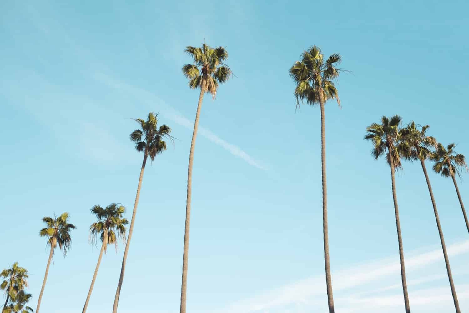 Queer In The World’s Complete Guide To The Top Gay Palm Springs Events 🌴