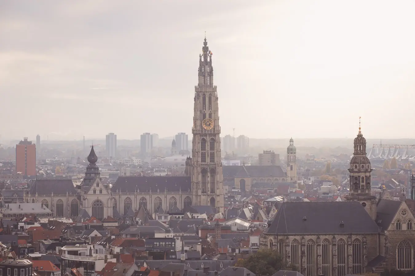 Gay Antwerp Guide: The Essential Guide To Gay Travel In Antwerp Belgium