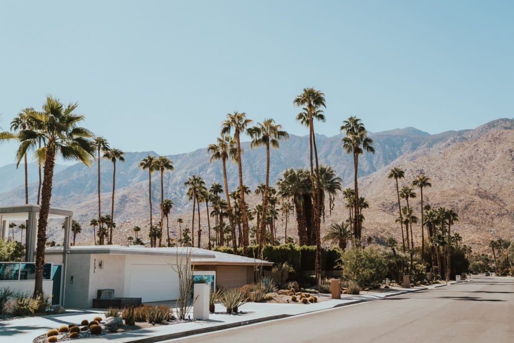 moving to gay palm springs