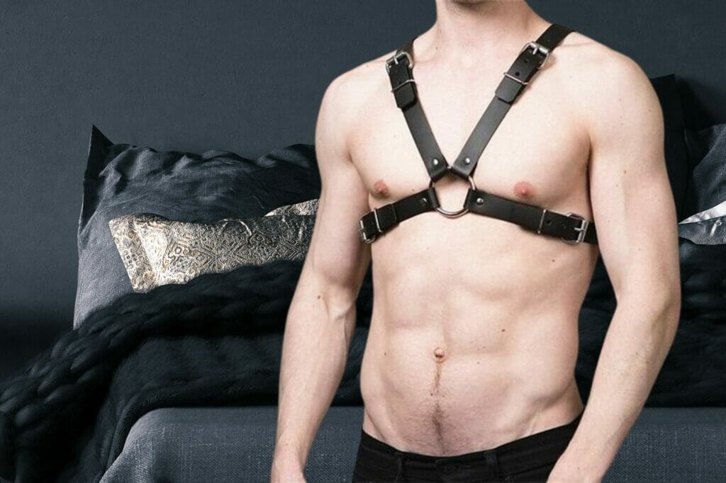 gay sex harness