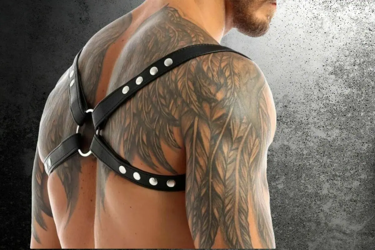 Gay Harness 101 Advice and Recommendations For First-Timers Exploring Boundaries picture photo