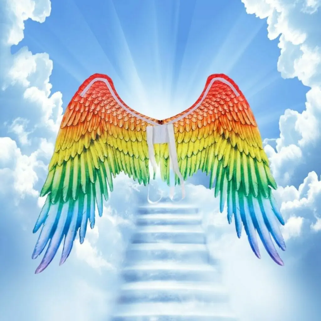 LGBT Angel Rainbow Wings Costume - gay couple costumes