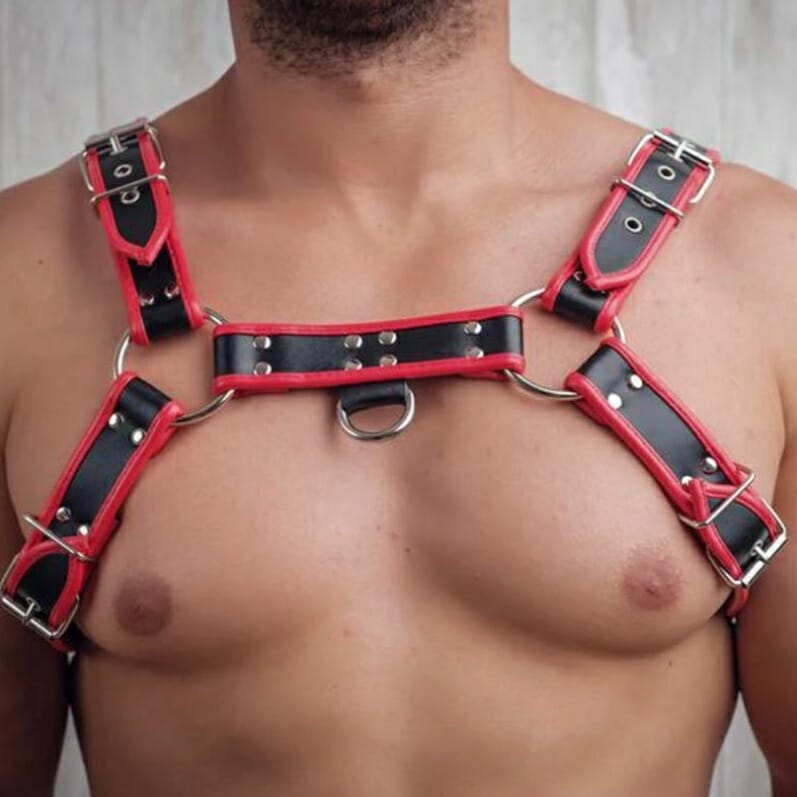 Red Bulldog Leather Harness