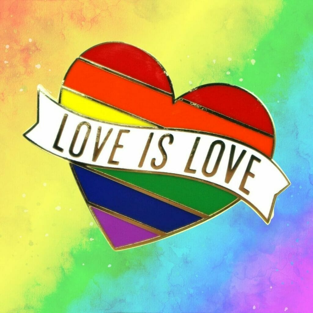 New Gay Pride Pin Set 4 Pieces Love Rainbow Human LGBTQ Pride on card 