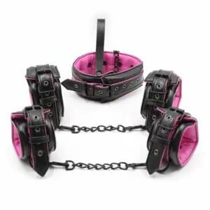 Premium Purple Pup Play Set