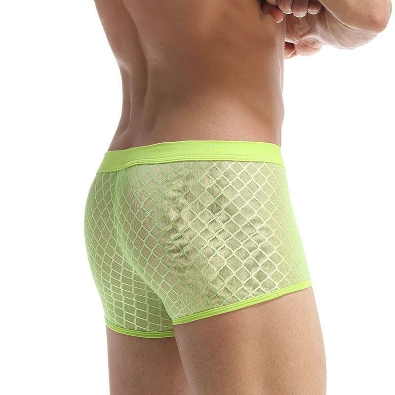 Transparent Mesh Boxers - sexy underwear for gay men