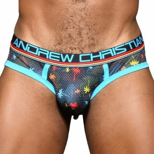 ANDREW CHRISTIAN Palm Springs Mesh Brief w/ Almost Naked
