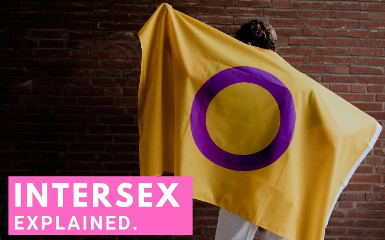 What Does Intersex Mean Other Intersex Information To Help You Be A Better Ally