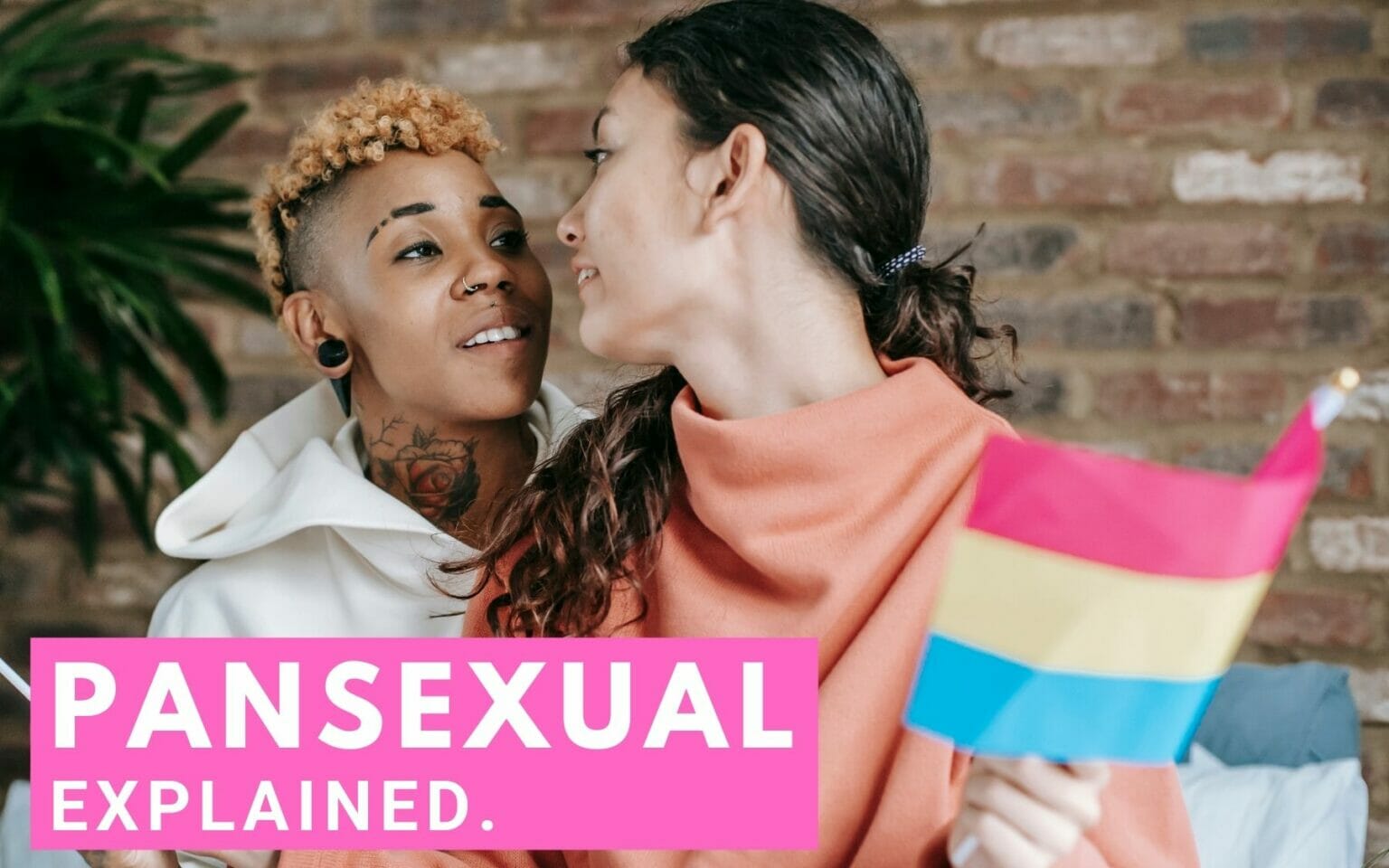 What Does Pansexual Mean? + Other Pansexual Information To Help You Be