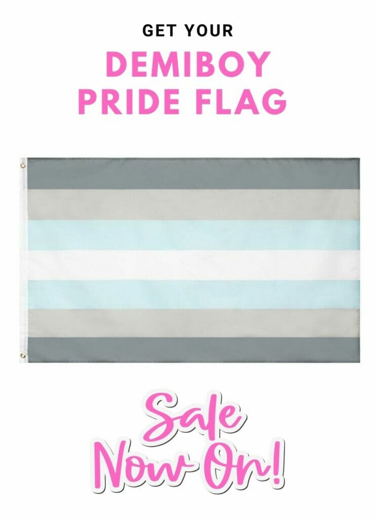 Where To Buy Demiboy Flag - Demiboy Pride Flag Meaning