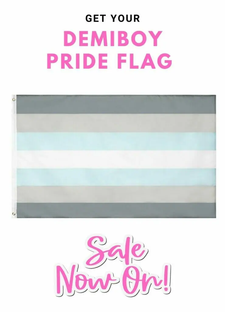 Where To Buy Demiboy Flag - Demiboy Pride Flag Meaning