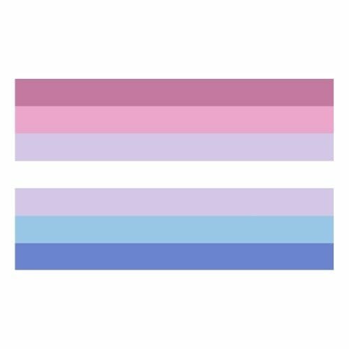 Bigender Pride Flag - LGBTQ Flag