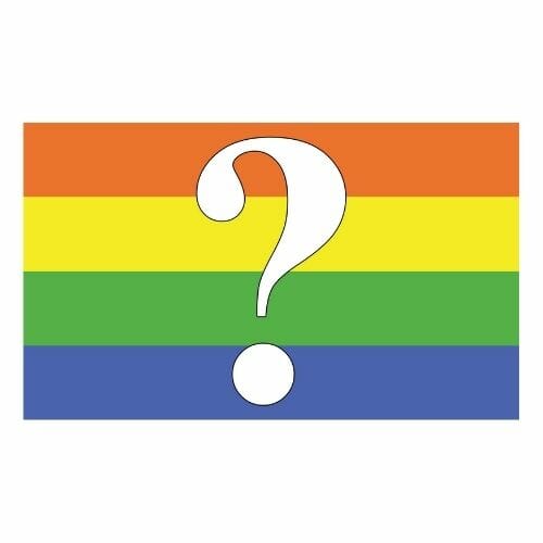 Questioning Pride Flag - LGBTQ Flag