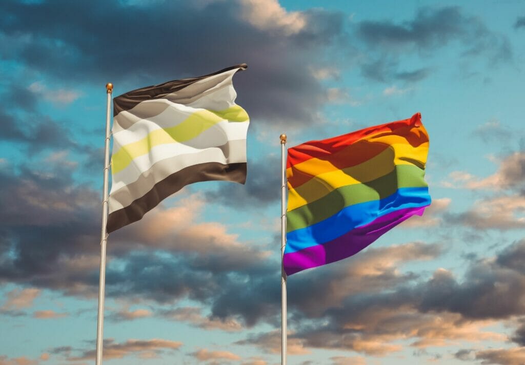 What Exactly Is The Agender Pride Flag And What Does It Mean
