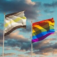 What Exactly Is The Agender Pride Flag, and What Does It Mean