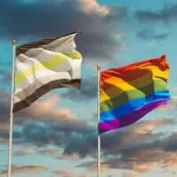 What Exactly Is The Agender Pride Flag, and What Does It Mean
