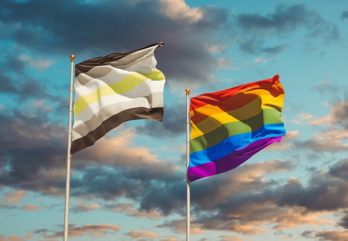 What Exactly Is The Agender Pride Flag, And What Does It Mean?