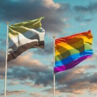 What Exactly Is The Aromantic Pride Flag, and What Does It Mean