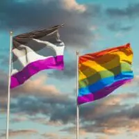 What Exactly Is The Asexual Pride Flag, and What Does It Mean