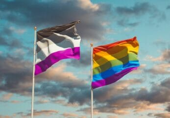 What Exactly Is The Asexual Pride Flag, And What Does It Mean?