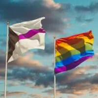 What Exactly Is The Demisexual Pride Flag, and What Does It Mean