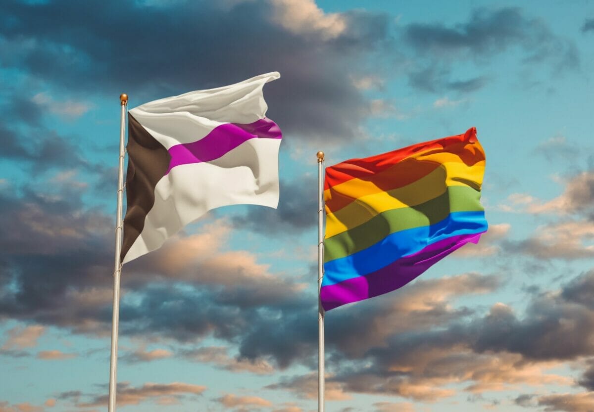 What Exactly Is The Demisexual Pride Flag, And What Does It Mean?