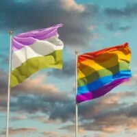 What Exactly Is The Genderqueer Pride Flag, and What Does It Mean?