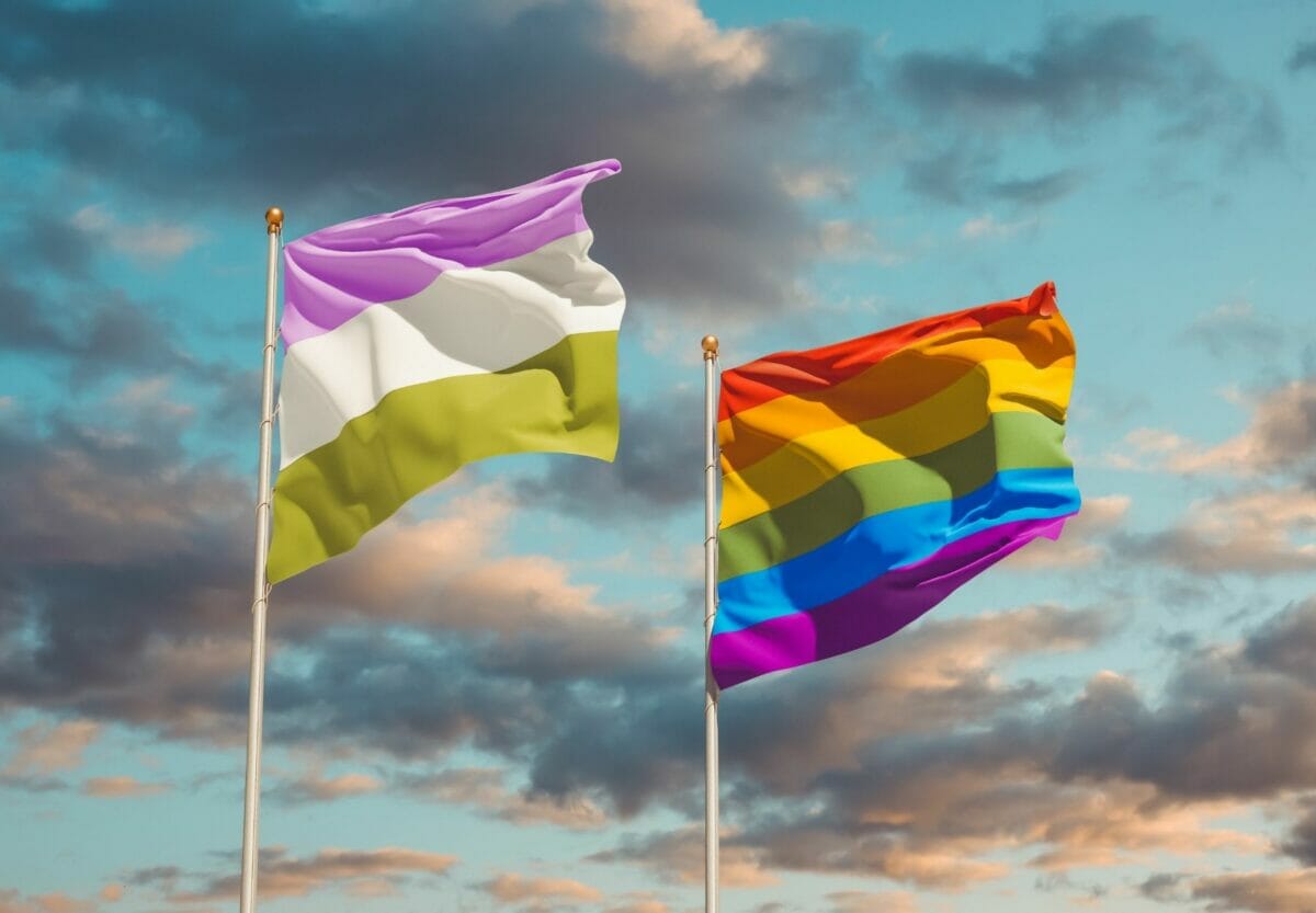 What Exactly Is The Genderqueer Pride Flag, And What Does It Mean?