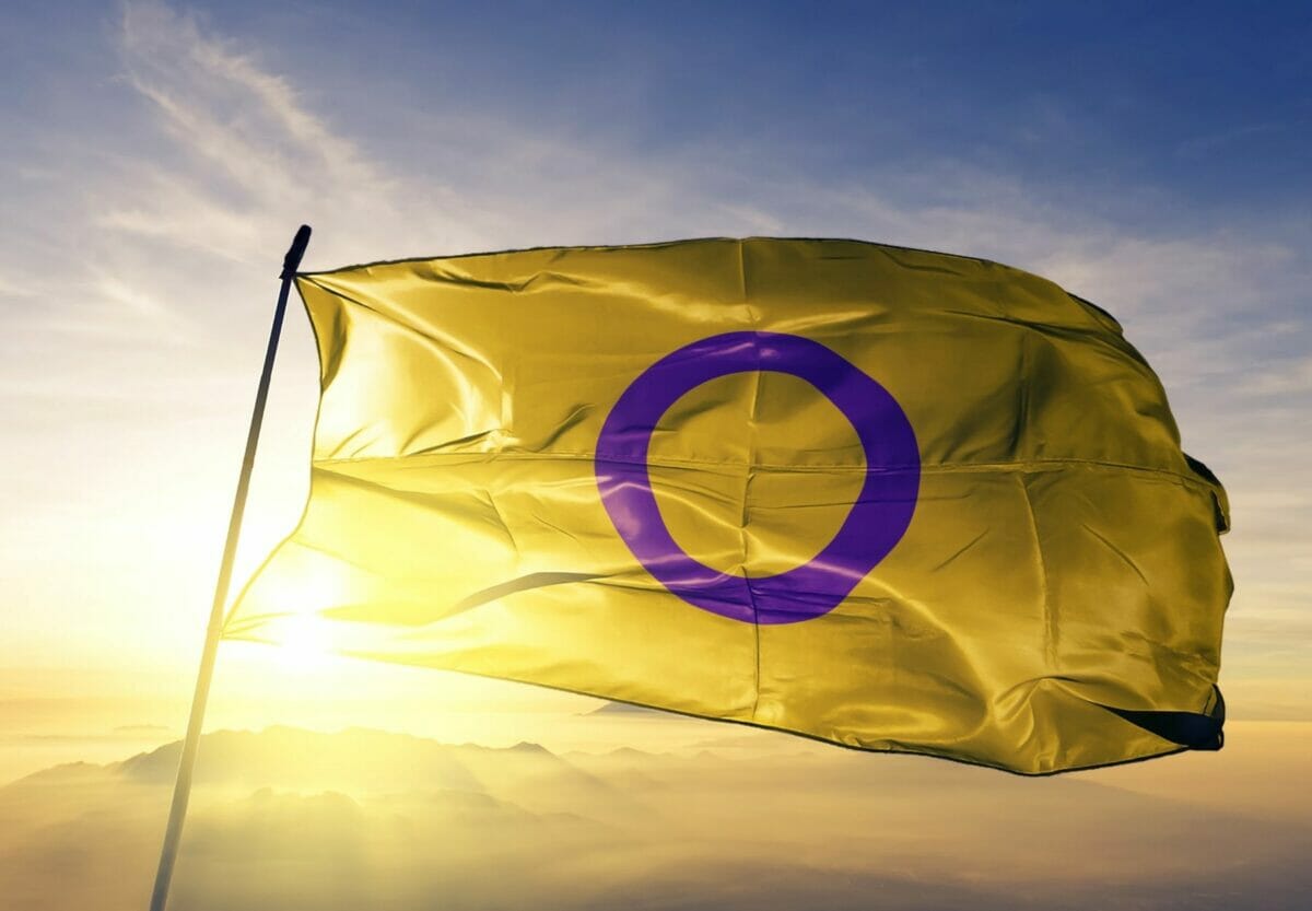 What Exactly Is The Intersex Pride Flag, And What Does It Mean?