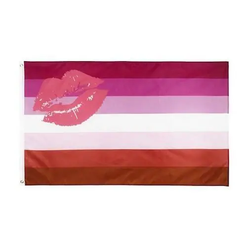 different pride flags - Lipstick Lesbian Pride Flag