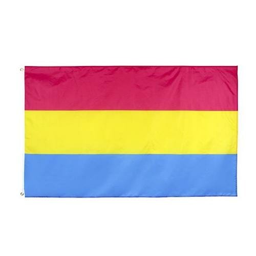 different pride flags - Pansexual Pride Flag