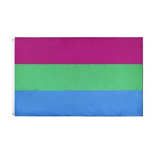 different pride flags - Polysexual Pride Flag