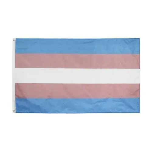 different pride flags - Transgender Pride Flag