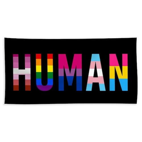 pride flags meaning - HUMAN LGBT Pride Flag