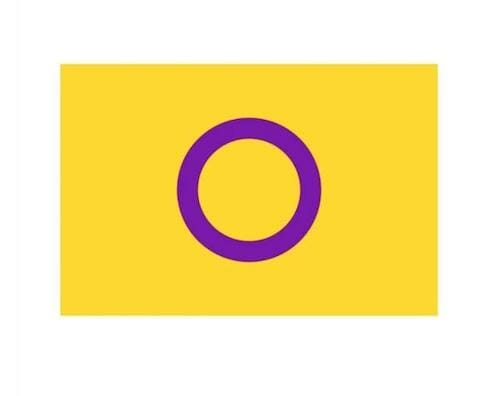pride flags meaning - Intersex Pride Flag