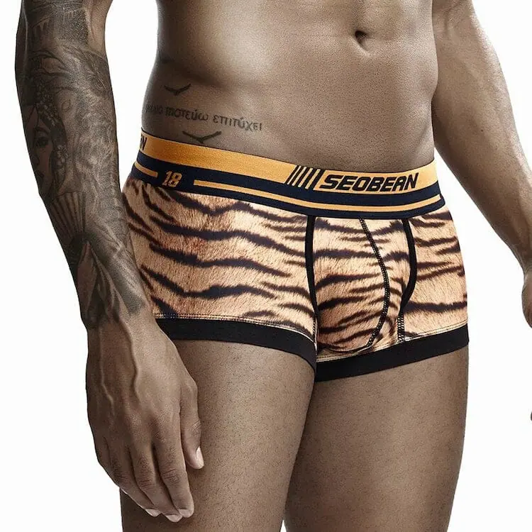 Sexiest Men's Underwear Options - Seobean Tiger Boxers