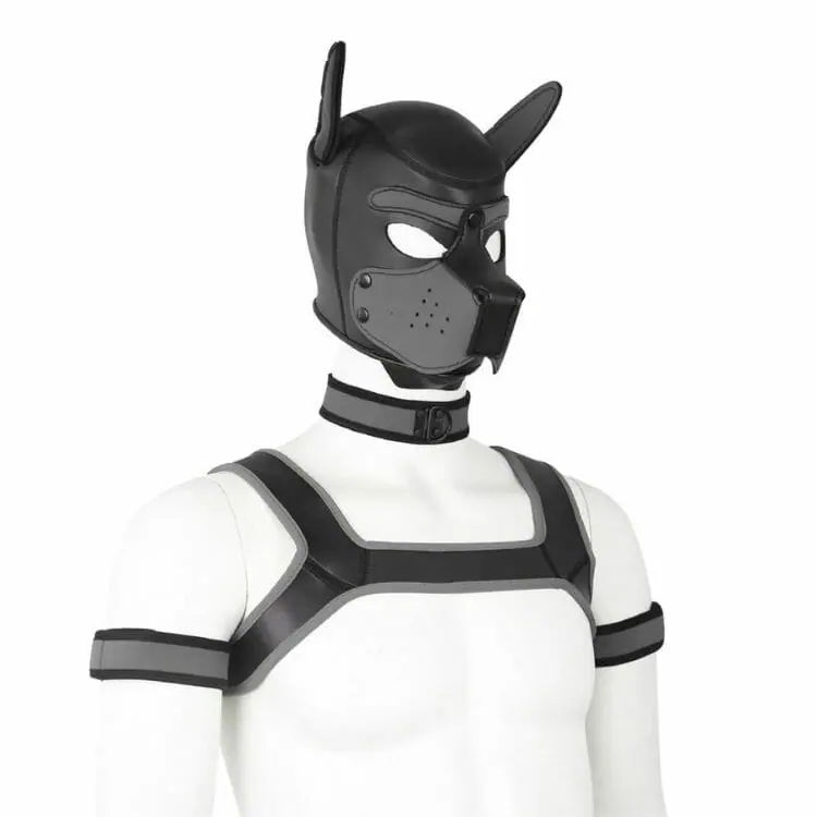 Neoprene Gay Pup Gear Starter Kit - gay kink gear