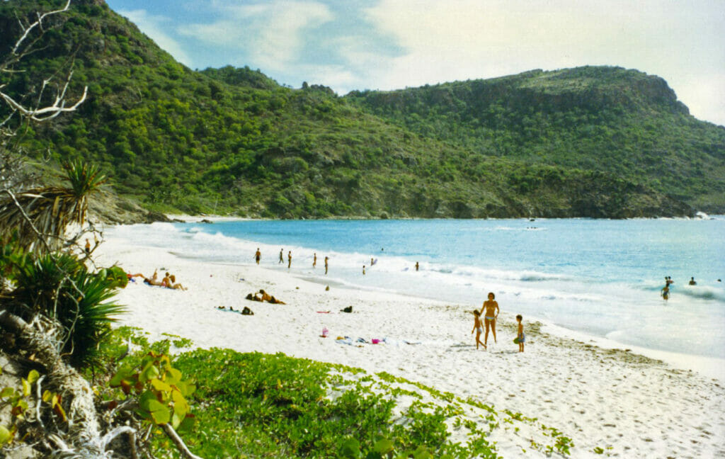 Saline Beach (Saint Barthélemy, French Caribbean) 