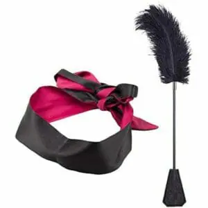 Satin Blindfold And Feather Tickler Whip